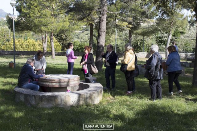 sulle dolci colline_28-04-2019 (1).jpg