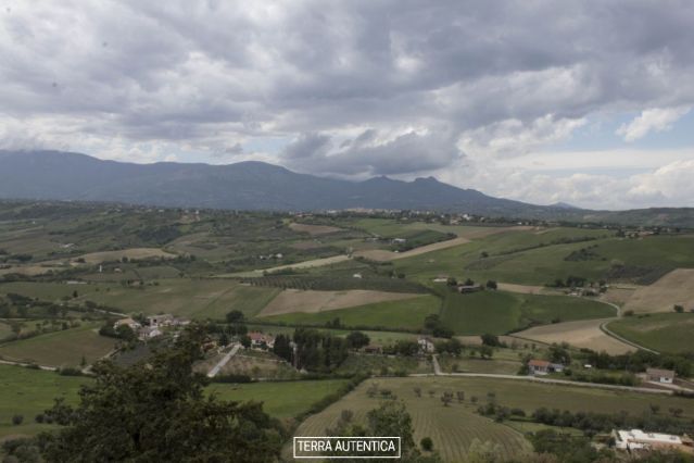 sulle dolci colline_28-04-2019 (17).jpg
